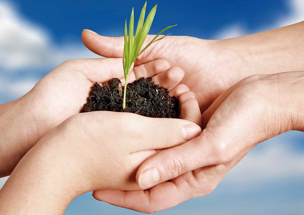 Glogger und Partner Vermögensverwaltung Kosten der Vermögensverwaltung